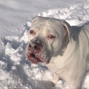 Meet your Posher, Justin